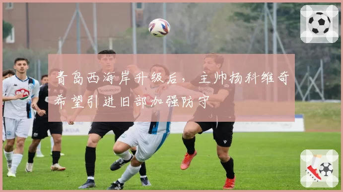 青岛西海岸升级后，主帅扬科维奇希望引进旧部加强防守