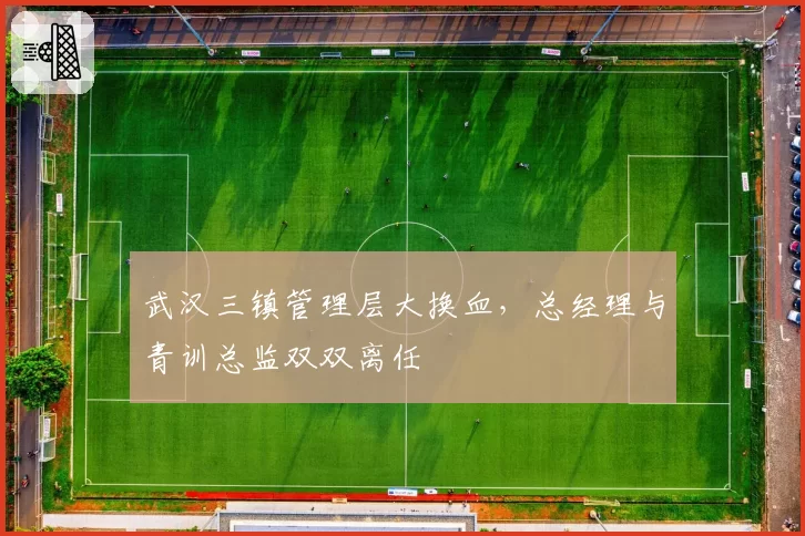 武汉三镇管理层大换血,总经理与青训总监双双离任