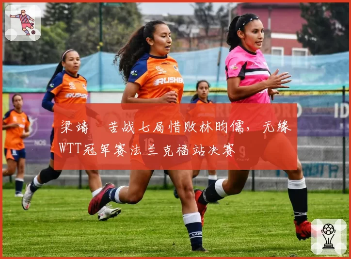 梁靖崑苦战七局惜败林昀儒,无缘WTT冠军赛法兰克福站决赛