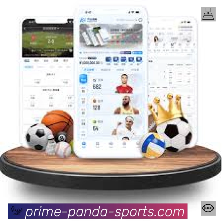 回放与集锦入口